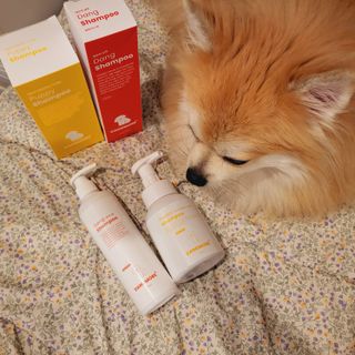 [댕모어 샴푸 2종] 댕샴푸 / 퍼피샴푸  2종 세트 (300ml) — 5점을 준 리뷰어가 2023년 8월 올린 사용 사진