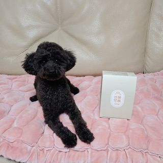 apple님이 올린 리뷰 사진 1
