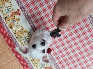 소라님이 올린 리뷰 사진 3