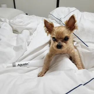 내사랑하람님이 올린 리뷰 사진 2