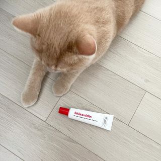 [자유펫] 시코니딘 고양이 강아지 피부 보습 연고 20g — 4.5점을 준 리뷰어가 2021년 11월 올린 사용 사진