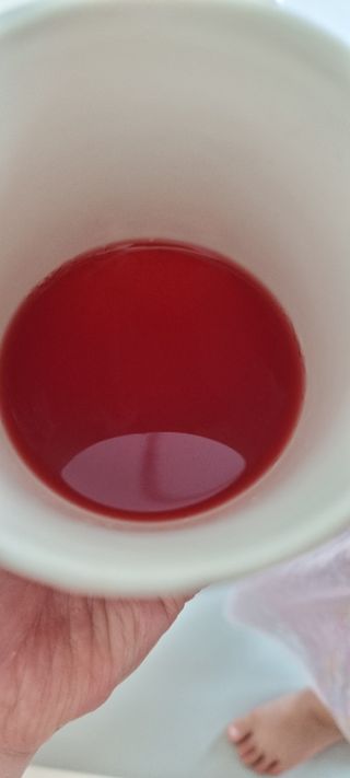 두딸램마미님이 올린 리뷰 사진 2