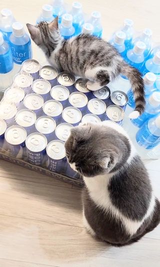 날씬이클디님이 올린 리뷰 사진 4