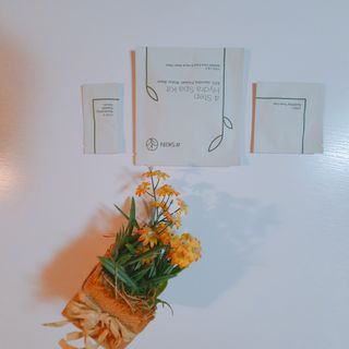 태그스킨 4스텝 주름개선 피부미백 영양 마스크팩 3개 세트(최신버전) — 5점을 준 리뷰어가 2022년 3월 올린 사용 사진