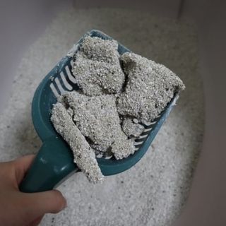 람온님이 올린 리뷰 사진 4