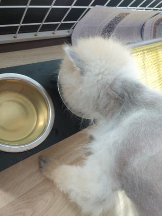 우디찡님이 올린 리뷰 사진 3