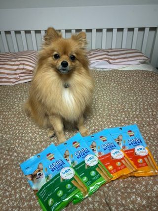 다영님이 올린 리뷰 사진 2