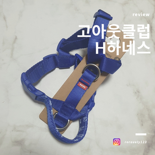 어기어차님이 올린 리뷰 사진 2