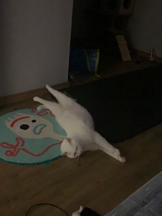 례진님이 올린 리뷰 사진 3