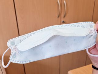 [이지아 마스크] 애니가드 더솔루션마스크 KF80 대형 컬러 4종 — 5점을 준 리뷰어가 2021년 6월 올린 사용 사진