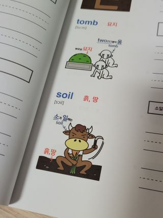 코린이님이 올린 리뷰 사진 2