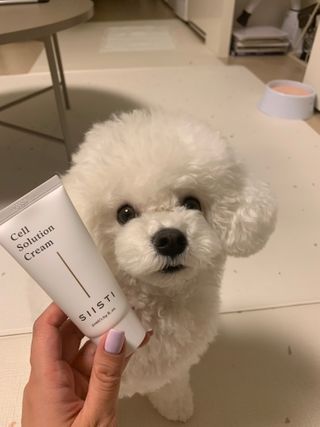 옥슈슈님이 올린 리뷰 사진 1