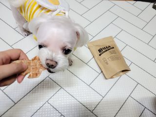 두부님이 올린 리뷰 사진 2