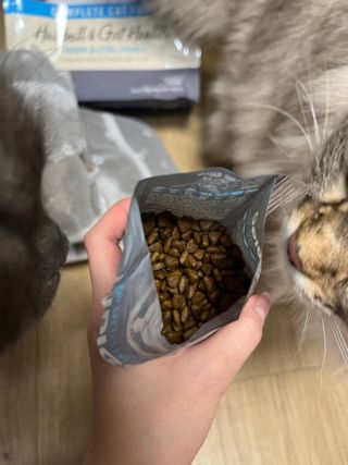 hanav님이 올린 리뷰 사진 2