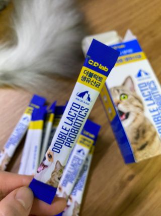 씨디랩 구강에서 장까지 한 번에 관리하는 더블락토 강아지 고양이 유산균 — 5점을 준 리뷰어가 2021년 6월 올린 사용 사진