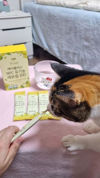 나매님이 올린 리뷰 사진 1