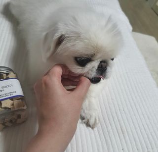 이승연님이 올린 리뷰 사진 3