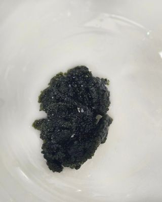 [피터씨마켓] 바다포도 100g(20g x 5봉) 우미부도 그린캐비어 ASMR 소분포장 — 3점을 준 리뷰어가 2024년 8월 올린 사용 사진