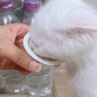 소원구르밍님이 올린 리뷰 사진 1