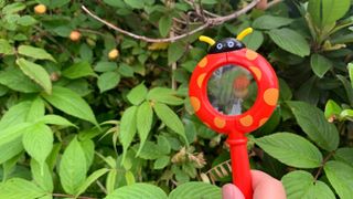 lovedbonnie님이 올린 리뷰 사진 3