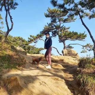 사랑해안시영님이 올린 리뷰 사진 1