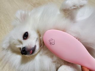 ssosso_yab님이 올린 리뷰 사진 2