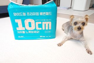 아베크 펫 와이드 프리미엄 대형 애견 강아지 배변 패드 30매 1팩 80g — 5점을 준 리뷰어가 2021년 7월 올린 사용 사진