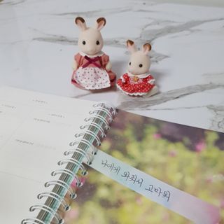 냥냥님이 올린 리뷰 사진 2