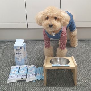차세라님이 올린 리뷰 사진 1