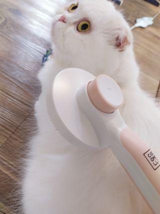 좋아님이 올린 리뷰 사진 1