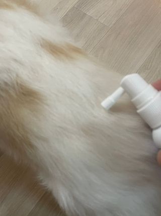 어거스트비님이 올린 리뷰 사진 3