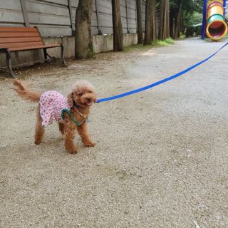 랭쑤님이 올린 리뷰 사진 1