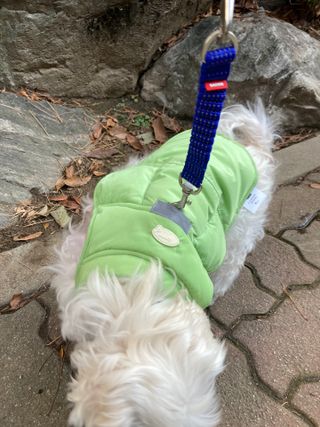 gotu01님이 올린 리뷰 사진 1