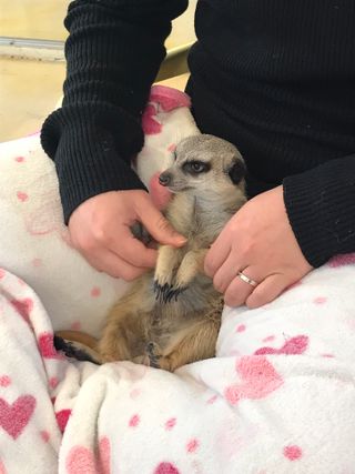 리준님이 올린 리뷰 사진 3