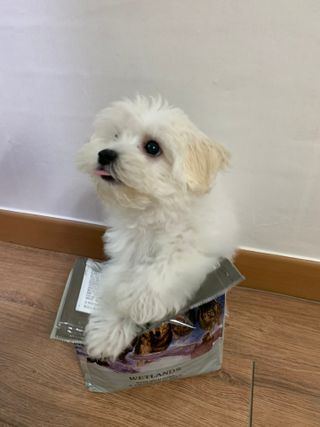냥냥이님이 올린 리뷰 사진 2