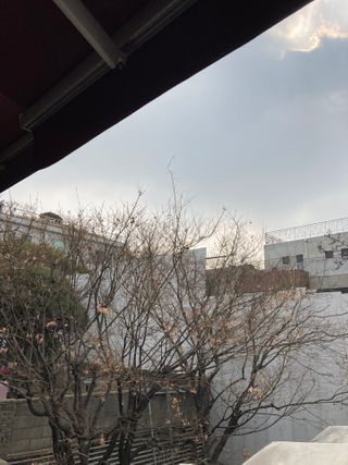니니님이 올린 리뷰 사진 3