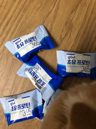 롯데제과 말랑카우 초유프로틴365 — 5점을 준 리뷰어가 2021년 9월 올린 사용 사진