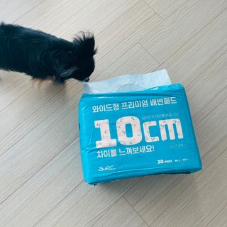 아베크 펫 와이드 프리미엄 대형 애견 강아지 배변 패드 30매 1팩 80g — 4점을 준 리뷰어가 2021년 7월 올린 사용 사진