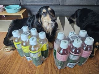 더그레잇티 콤부차 [매일유업] 더그레잇티 44kcal 콤부차 300ml *12개입 (오리지널 6개+베리리치 6개) — 5점을 준 리뷰어가 2023년 8월 올린 사용 사진