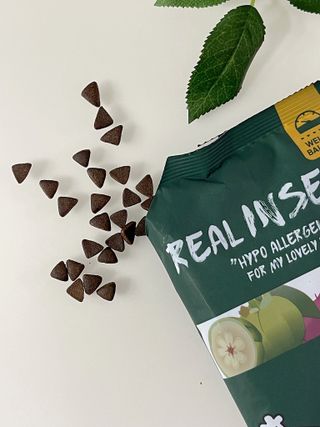 [푸디웜] 라포그  리얼인섹트 웨이트밸런스 저알러지 강아지 사료  1.2KG — 5점을 준 리뷰어가 2022년 7월 올린 사용 사진