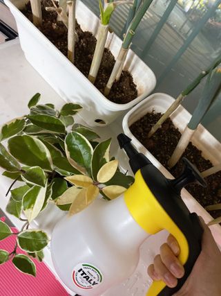오투오 바이톤 산성용 압축분무기 — 5점을 준 리뷰어가 2021년 6월 올린 사용 사진
