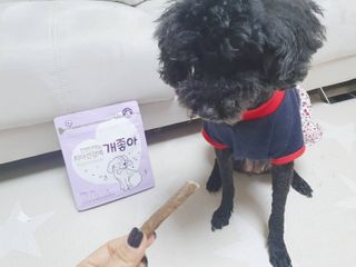 My Pet Care 천연단백질 치아건강에 개좋아 — 5점을 준 리뷰어가 2021년 2월 올린 사용 사진