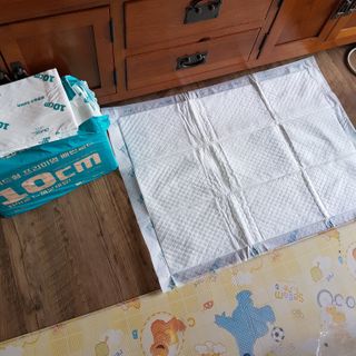 아베크 펫 와이드 프리미엄 대형 애견 강아지 배변 패드 30매 1팩 80g — 5점을 준 리뷰어가 2021년 7월 올린 사용 사진