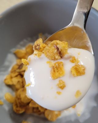 숲골 임실치즈마을 프로바이오 요거트 900ml — 5점을 준 리뷰어가 2021년 8월 올린 사용 사진