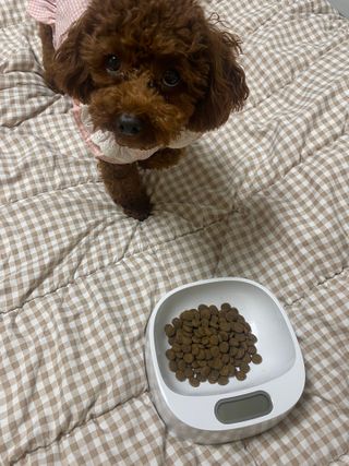 지은짱님이 올린 리뷰 사진 1
