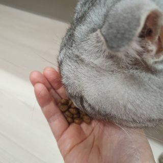에디터보나님이 올린 리뷰 사진 4