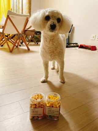 페페로니 진짜 프리바이오틱스 치즈+치즈고구마 180g+180g — 5점을 준 리뷰어가 2021년 7월 올린 사용 사진
