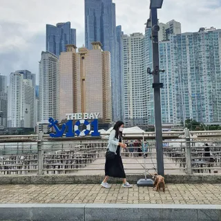 사랑해안시영님이 올린 리뷰 사진 2