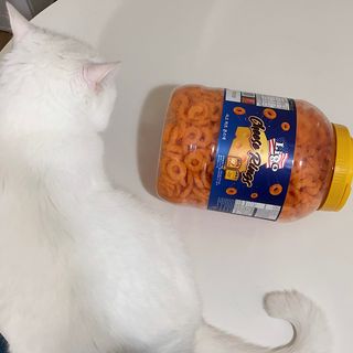 jyerin님이 올린 리뷰 사진 2