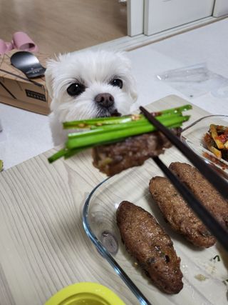 뽀오오옹님이 올린 리뷰 사진 3